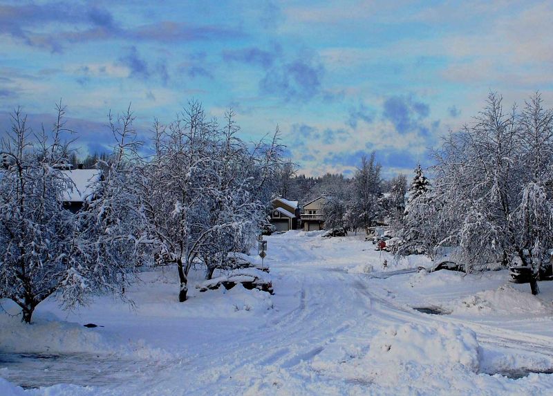 anchorage alaska winterscape.jpg